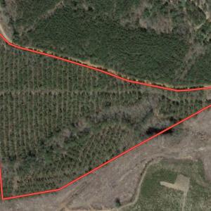 Photo #1 of Off Mat Nelson Road , Littleton, NC 25.0 acres