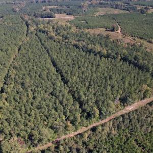 Photo #9 of Off Mat Nelson Road , Littleton, NC 25.0 acres