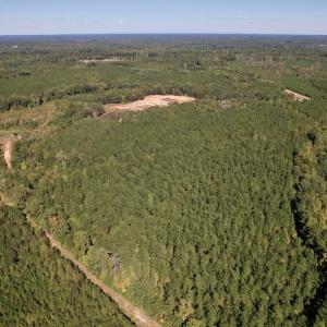 Photo #11 of SOLD property in Off Mat Nelson Road , Littleton, NC 25.0 acres