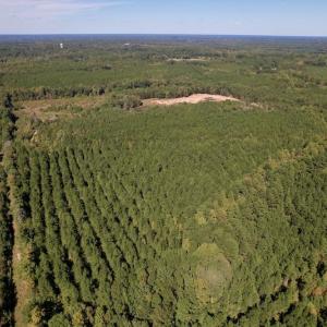 Photo #12 of Off Mat Nelson Road , Littleton, NC 25.0 acres
