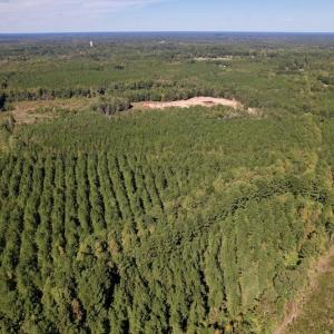 Photo #13 of Off Mat Nelson Road , Littleton, NC 25.0 acres