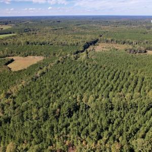 Photo #14 of Off Mat Nelson Road , Littleton, NC 25.0 acres