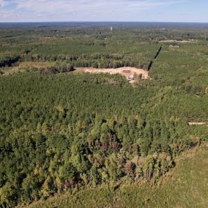 Photo #15 of Off Mat Nelson Road , Littleton, NC 25.0 acres