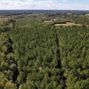 Photo #18 of Off Mat Nelson Road , Littleton, NC 25.0 acres