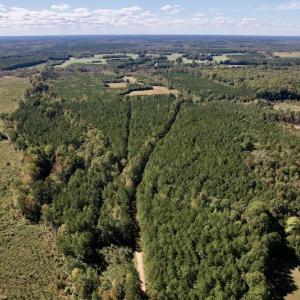 Photo #2 of Off Mat Nelson Road , Littleton, NC 25.0 acres