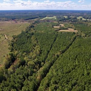 Photo #3 of Off Mat Nelson Road , Littleton, NC 25.0 acres