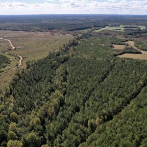 Photo #4 of Off Mat Nelson Road , Littleton, NC 25.0 acres