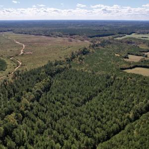 Photo #5 of Off Mat Nelson Road , Littleton, NC 25.0 acres