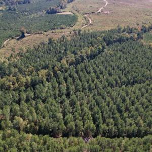 Photo #6 of Off Mat Nelson Road , Littleton, NC 25.0 acres
