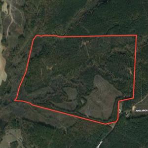 Photo #1 of SOLD property in Off Tuscarora Road, Hollister, NC 290.0 acres