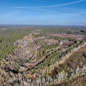 Photo #10 of SOLD property in Off Tuscarora Road, Hollister, NC 290.0 acres