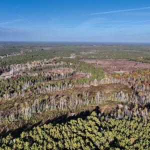 Photo #11 of SOLD property in Off Tuscarora Road, Hollister, NC 290.0 acres