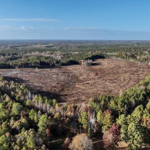 Photo #12 of SOLD property in Off Tuscarora Road, Hollister, NC 290.0 acres