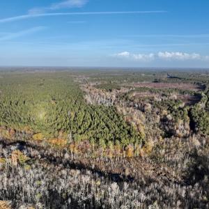 Photo #15 of SOLD property in Off Tuscarora Road, Hollister, NC 290.0 acres