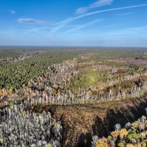 Photo #17 of SOLD property in Off Tuscarora Road, Hollister, NC 290.0 acres