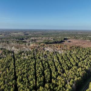 Photo #19 of SOLD property in Off Tuscarora Road, Hollister, NC 290.0 acres