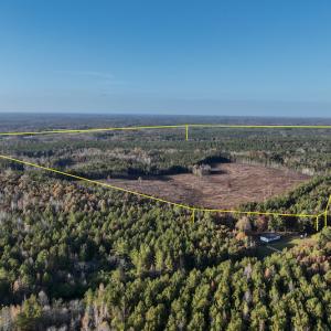 Photo #2 of SOLD property in Off Tuscarora Road, Hollister, NC 290.0 acres