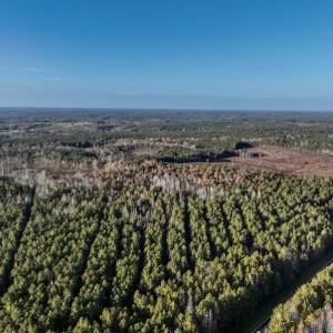 Photo #20 of SOLD property in Off Tuscarora Road, Hollister, NC 290.0 acres