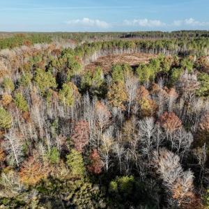 Photo #22 of SOLD property in Off Tuscarora Road, Hollister, NC 290.0 acres
