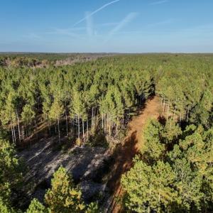 Photo #23 of SOLD property in Off Tuscarora Road, Hollister, NC 290.0 acres