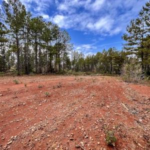 Photo #24 of SOLD property in Off Tuscarora Road, Hollister, NC 290.0 acres