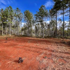 Photo #25 of SOLD property in Off Tuscarora Road, Hollister, NC 290.0 acres