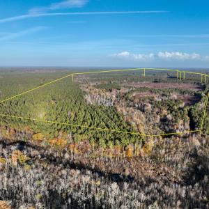 Photo #3 of SOLD property in Off Tuscarora Road, Hollister, NC 290.0 acres