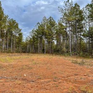 Photo #32 of SOLD property in Off Tuscarora Road, Hollister, NC 290.0 acres