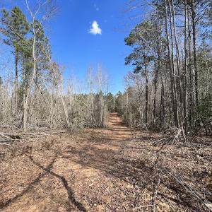 Photo #34 of SOLD property in Off Tuscarora Road, Hollister, NC 290.0 acres