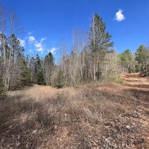 Photo #35 of SOLD property in Off Tuscarora Road, Hollister, NC 290.0 acres