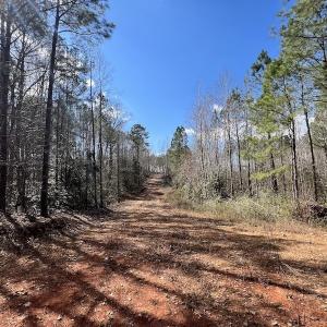 Photo #36 of SOLD property in Off Tuscarora Road, Hollister, NC 290.0 acres