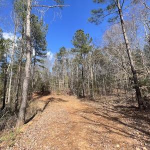 Photo #38 of SOLD property in Off Tuscarora Road, Hollister, NC 290.0 acres