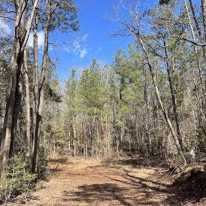 Photo #39 of SOLD property in Off Tuscarora Road, Hollister, NC 290.0 acres