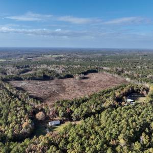 Photo #4 of SOLD property in Off Tuscarora Road, Hollister, NC 290.0 acres