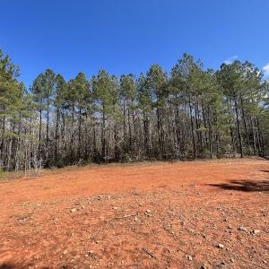 Photo #40 of SOLD property in Off Tuscarora Road, Hollister, NC 290.0 acres
