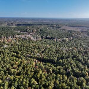 Photo #5 of SOLD property in Off Tuscarora Road, Hollister, NC 290.0 acres