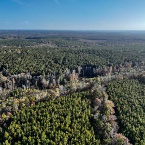 Photo #6 of SOLD property in Off Tuscarora Road, Hollister, NC 290.0 acres