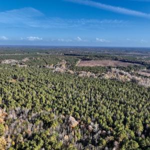 Photo #7 of SOLD property in Off Tuscarora Road, Hollister, NC 290.0 acres