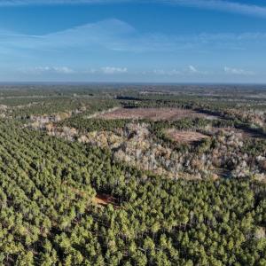 Photo #8 of SOLD property in Off Tuscarora Road, Hollister, NC 290.0 acres