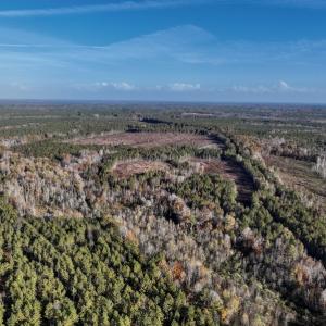 Photo #9 of SOLD property in Off Tuscarora Road, Hollister, NC 290.0 acres
