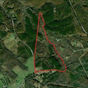 Photo #1 of SOLD property in Off Turner Road, Reidsville, NC 73.3 acres