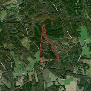 Photo #86 of SOLD property in Off Turner Road, Reidsville, NC 73.3 acres