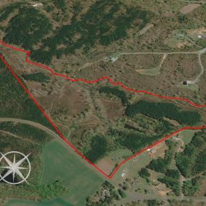 Photo #3 of Off Turner Road, Reidsville, NC 73.3 acres