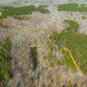 Photo #4 of SOLD property in Off Turner Road, Reidsville, NC 73.3 acres