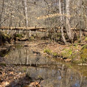 Photo #5 of Off Turner Road, Reidsville, NC 73.3 acres