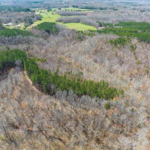 Photo #7 of SOLD property in Off Turner Road, Reidsville, NC 73.3 acres