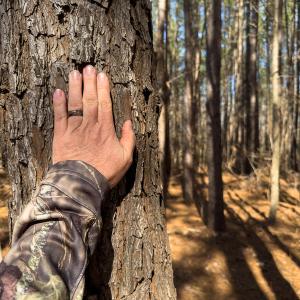Photo #9 of SOLD property in Off Turner Road, Reidsville, NC 73.3 acres