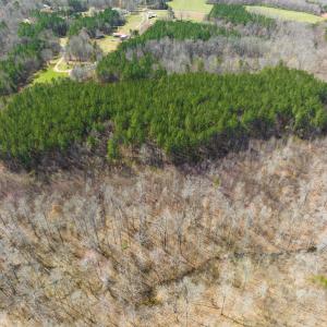 Photo #10 of SOLD property in Off Turner Road, Reidsville, NC 73.3 acres