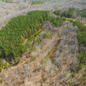Photo #13 of Off Turner Road, Reidsville, NC 73.3 acres