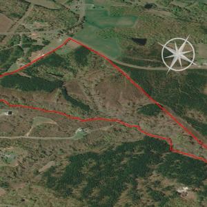 Photo #14 of Off Turner Road, Reidsville, NC 73.3 acres